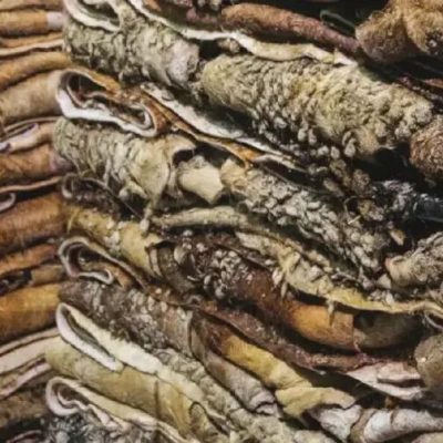 德国最大原料皮商惊传倒闭,2000亿皮革供应链濒临“断链”?母公司紧急回应:不,还没关门